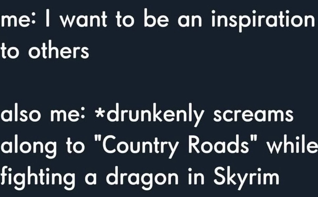 Me trying to inspire others then drunkenly screaming Country Roads mid dragon fight in Skyrim - meme