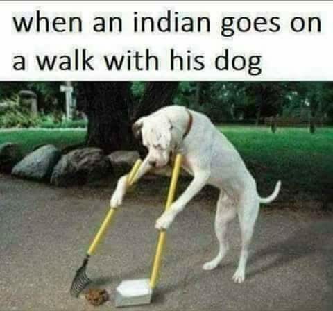 Indian monent - meme