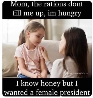 on jan 6, 2025, may kamala overthrow the trumpist, plutocratic military industrial complex - meme
