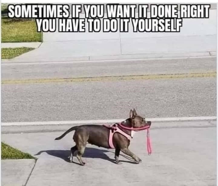 Screw these humans I do it myself - meme