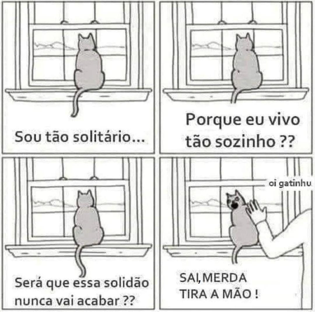 Solidão - meme