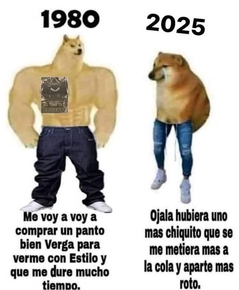 Quiero un pantalón bien perro que me haga ver épico y me dure la cola - meme