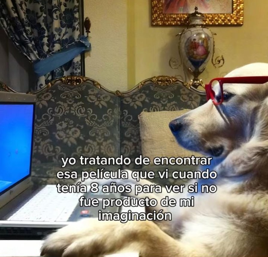 Película - meme