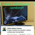 Condoro = accidente