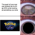 Pokémon go is love. Pokémon go is life.