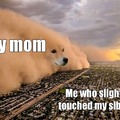 Fuck you mom