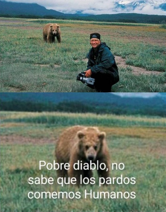 Contexto: Supongo que algunos conocen a Timothy Treadwell, un ecologista que tenía una obsesión con los pardos, a tal punto que en 2003 fue devorado por unos osos junto con su esposa que ni quería toparse con esos osos - meme