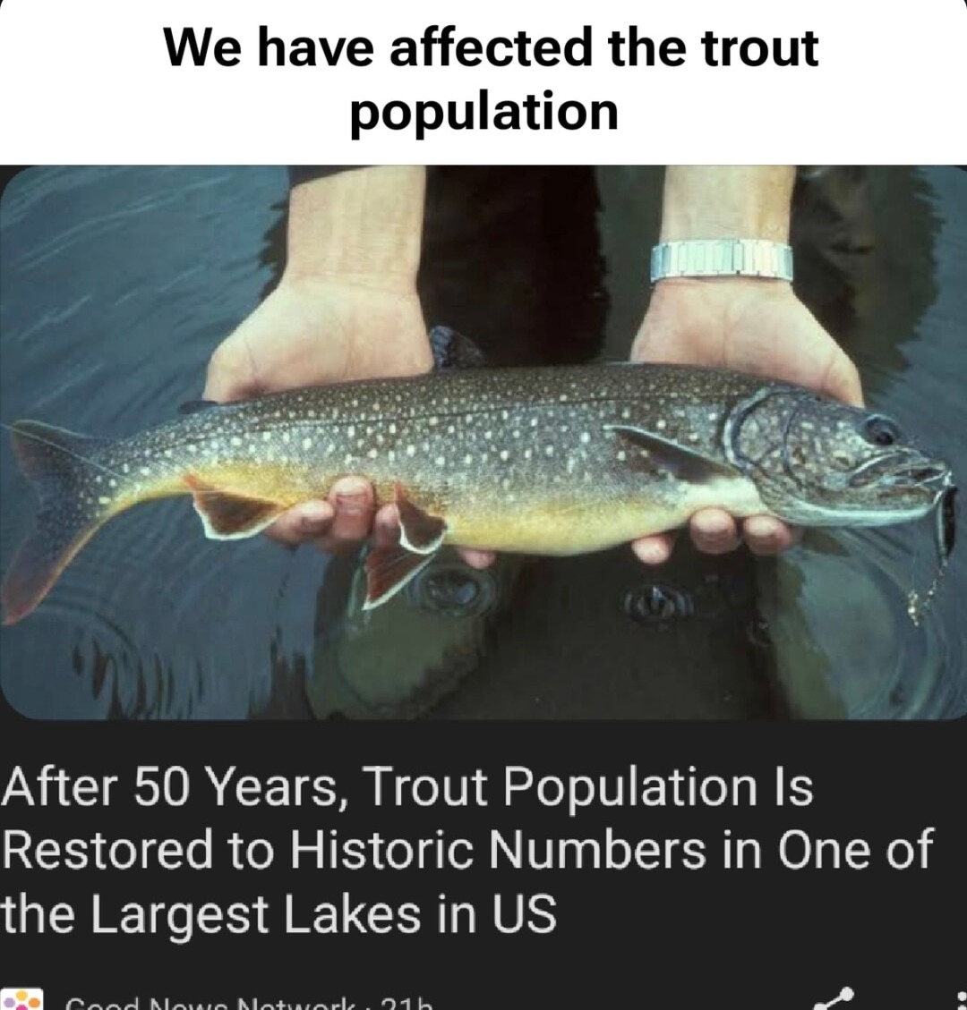 Trout population finally bouncing back after 50 years - meme