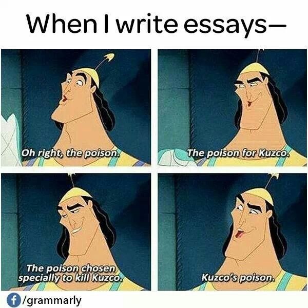 When i write essays - meme