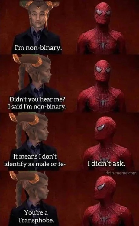 i didn't ask - meme