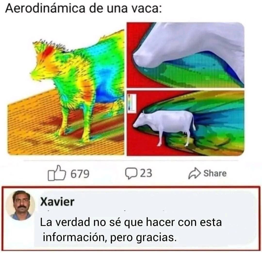 Kvdlskrswysrusr yfsirras xhtdxtco - meme