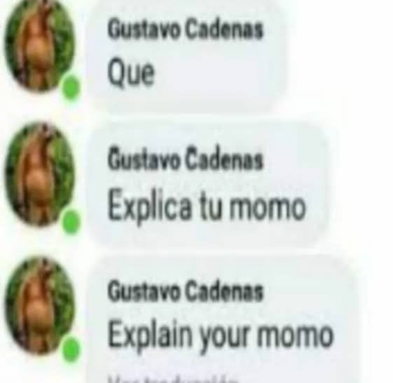 gustambo - meme