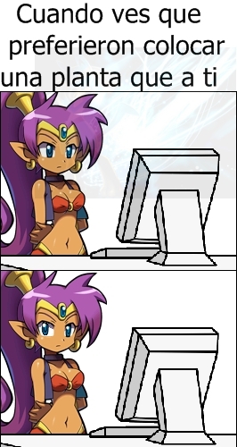 Pobre Shantae - meme