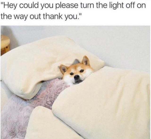 Hey could you please turn the light off on the way out thank you - meme