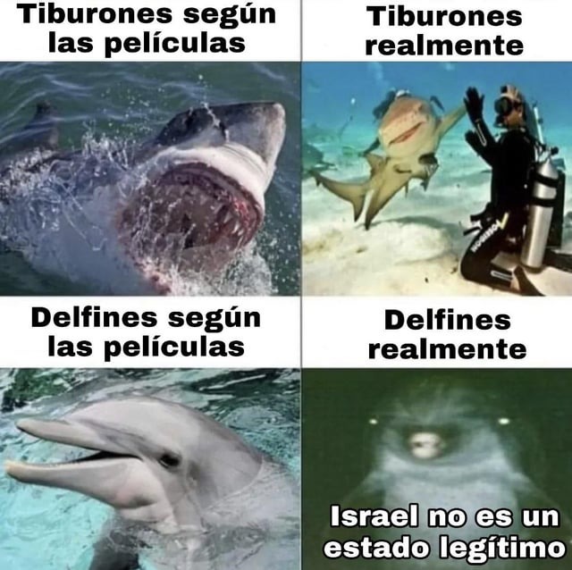 Tiburones vs delfines - meme