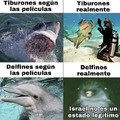 Tiburones vs delfines