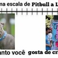 Pitbull a LGTVs