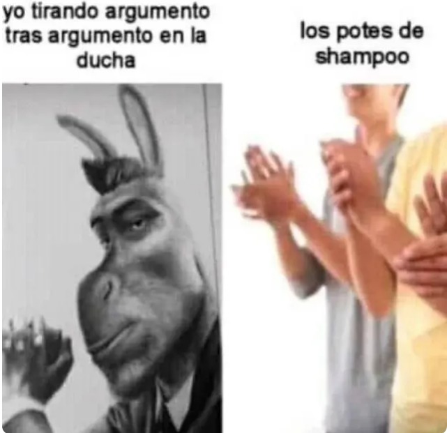 LOS POTES DE REPOST - meme