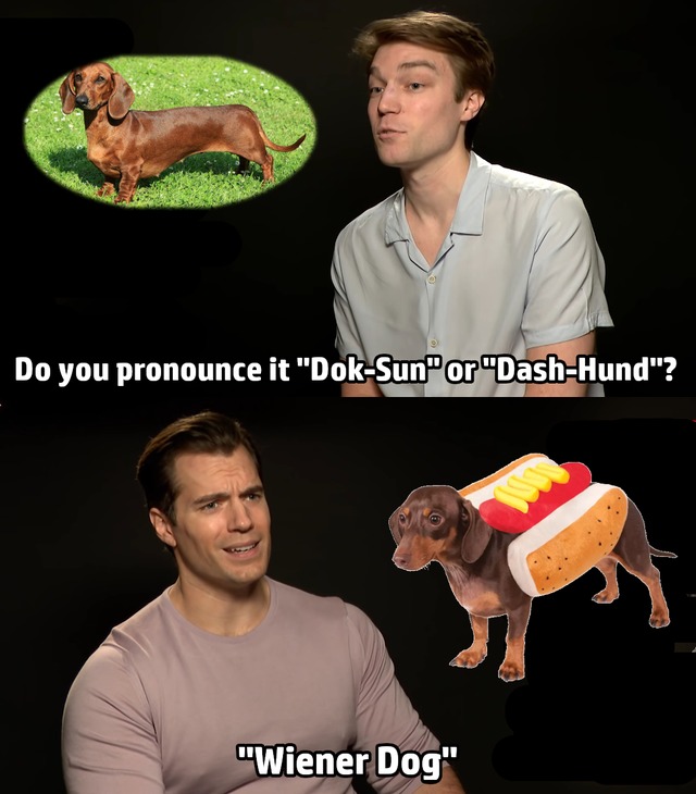 wiener dog - meme