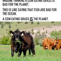 Cow eating grass IS the planet