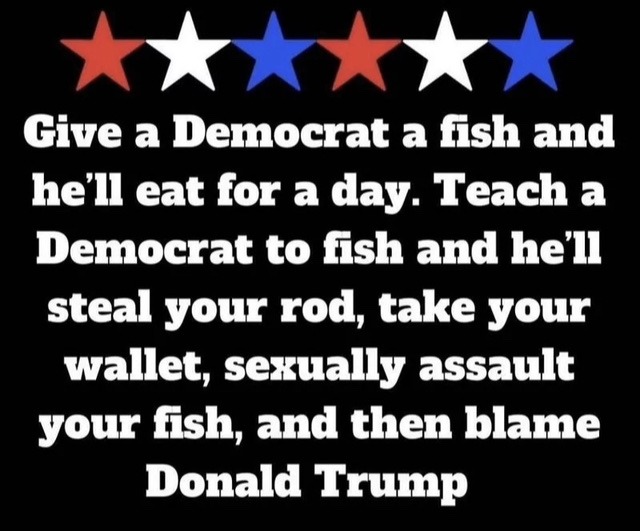 fish analogy - meme