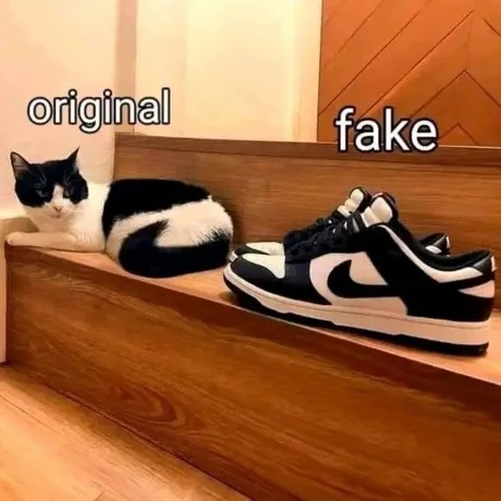 Como diferenciar la marca Nike original vs la fake - meme
