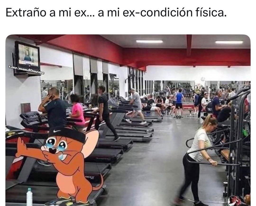 Extraño a mi ex... condición física - meme