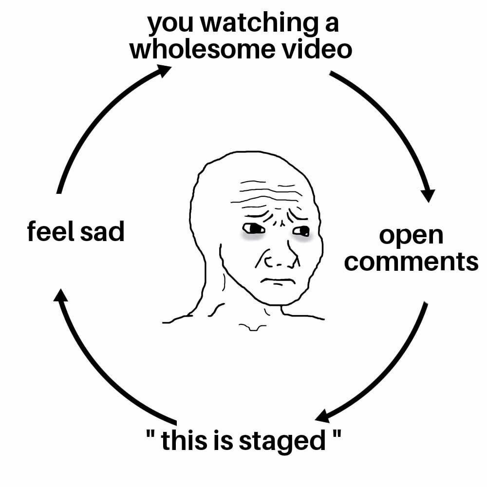 You: Watch a wholesome video. Comment section: *What do you mean this is staged?* - meme