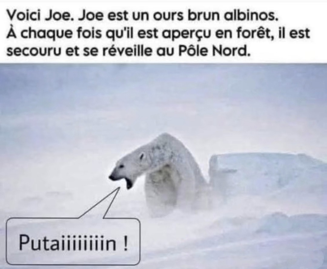 Joe il spawn random - meme