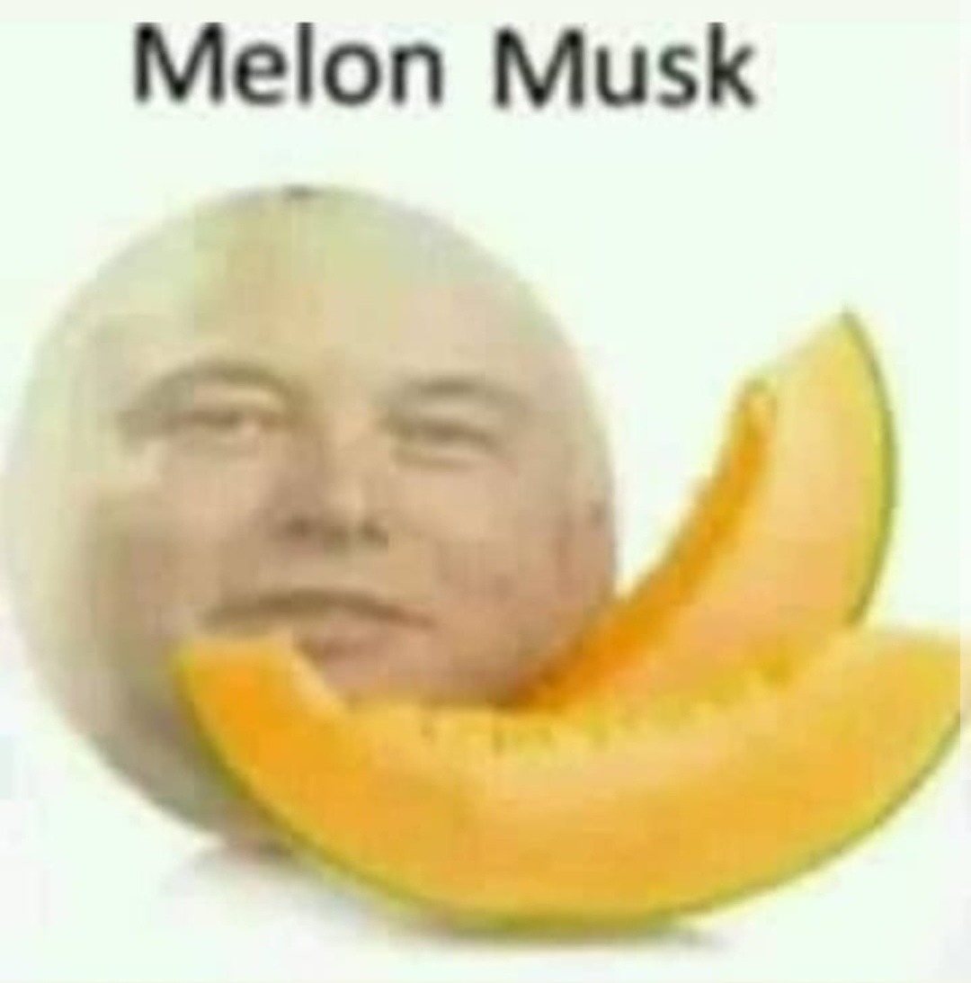 Melón Musk - meme