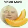 Melón Musk