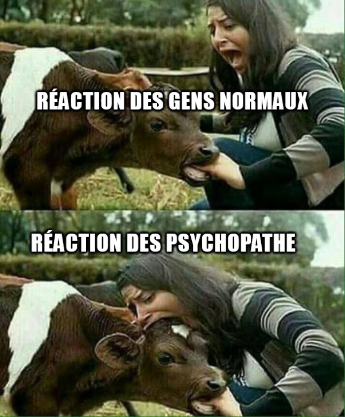 psychopathe - meme