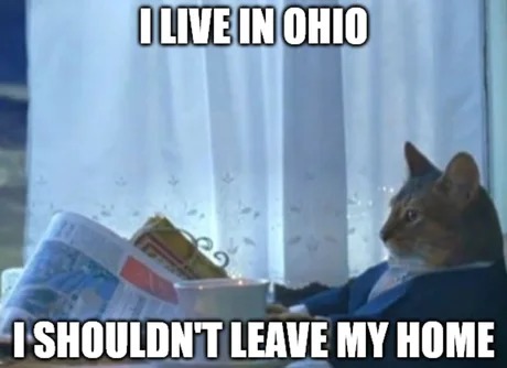 Ohio cats right now - meme