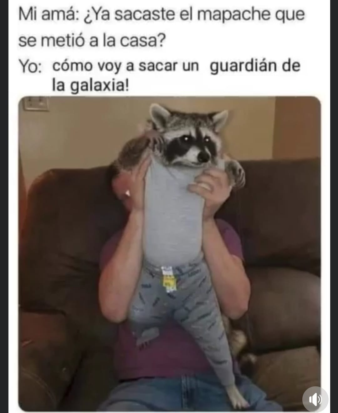 Título - meme