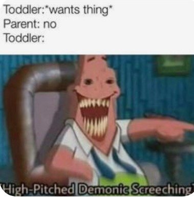 Having toddlers in your life be like - meme