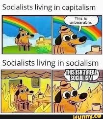 Most can't even see their own misery - meme