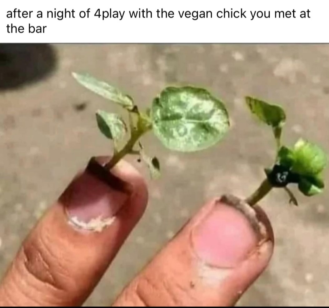 You're welcome - meme