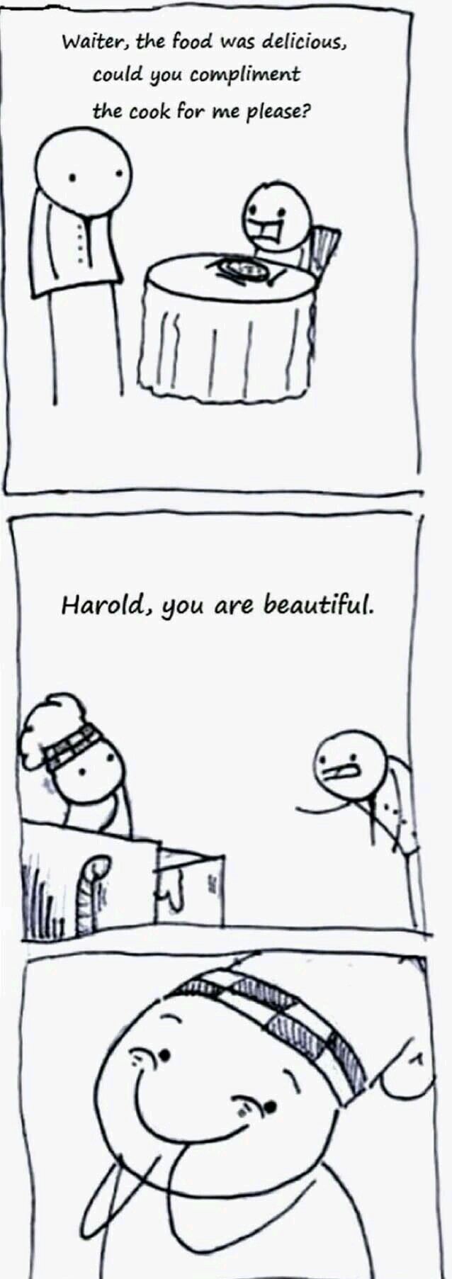 You are indeed beautiful Harold - meme