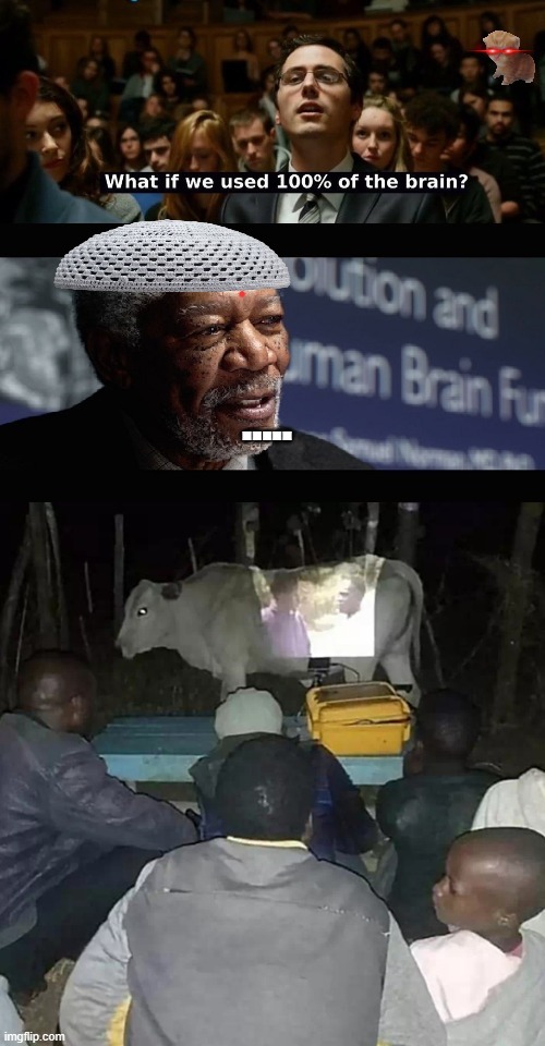 Xd - meme
