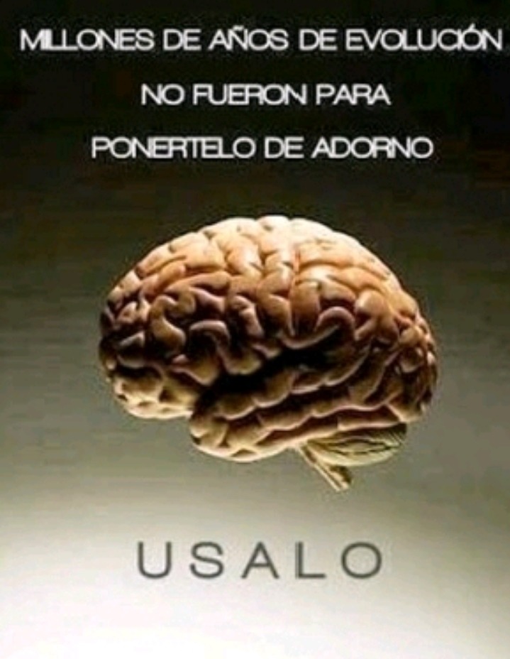 Malardo autor - meme