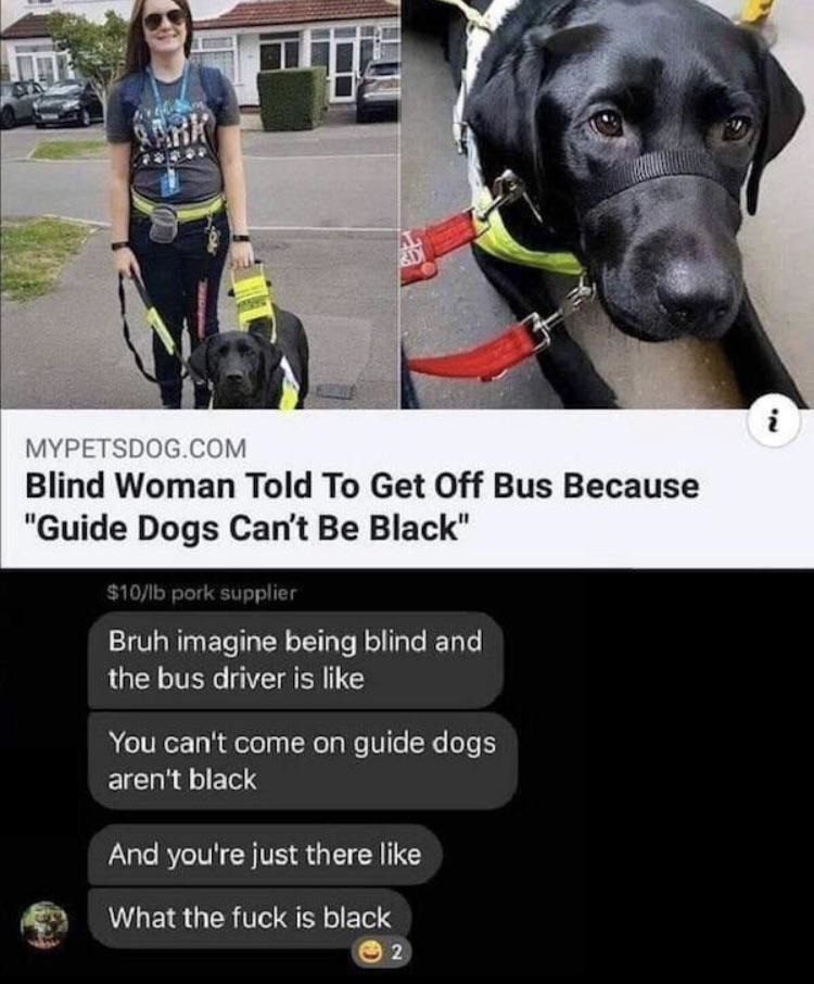 Guide dogs can’t be black? Bro what’s black? - meme