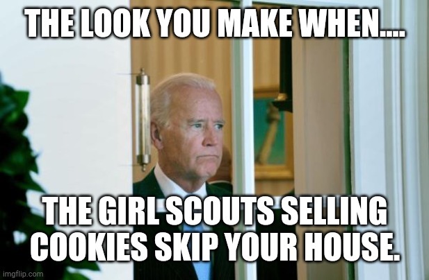 He's even sadder when cookies selling girl scouts skips his house. - meme