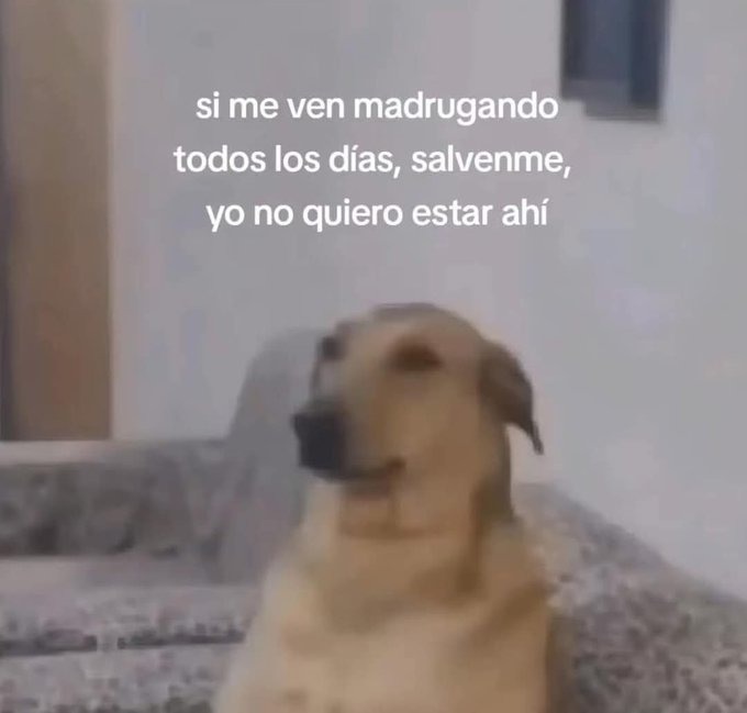 si me ven madrugar - meme