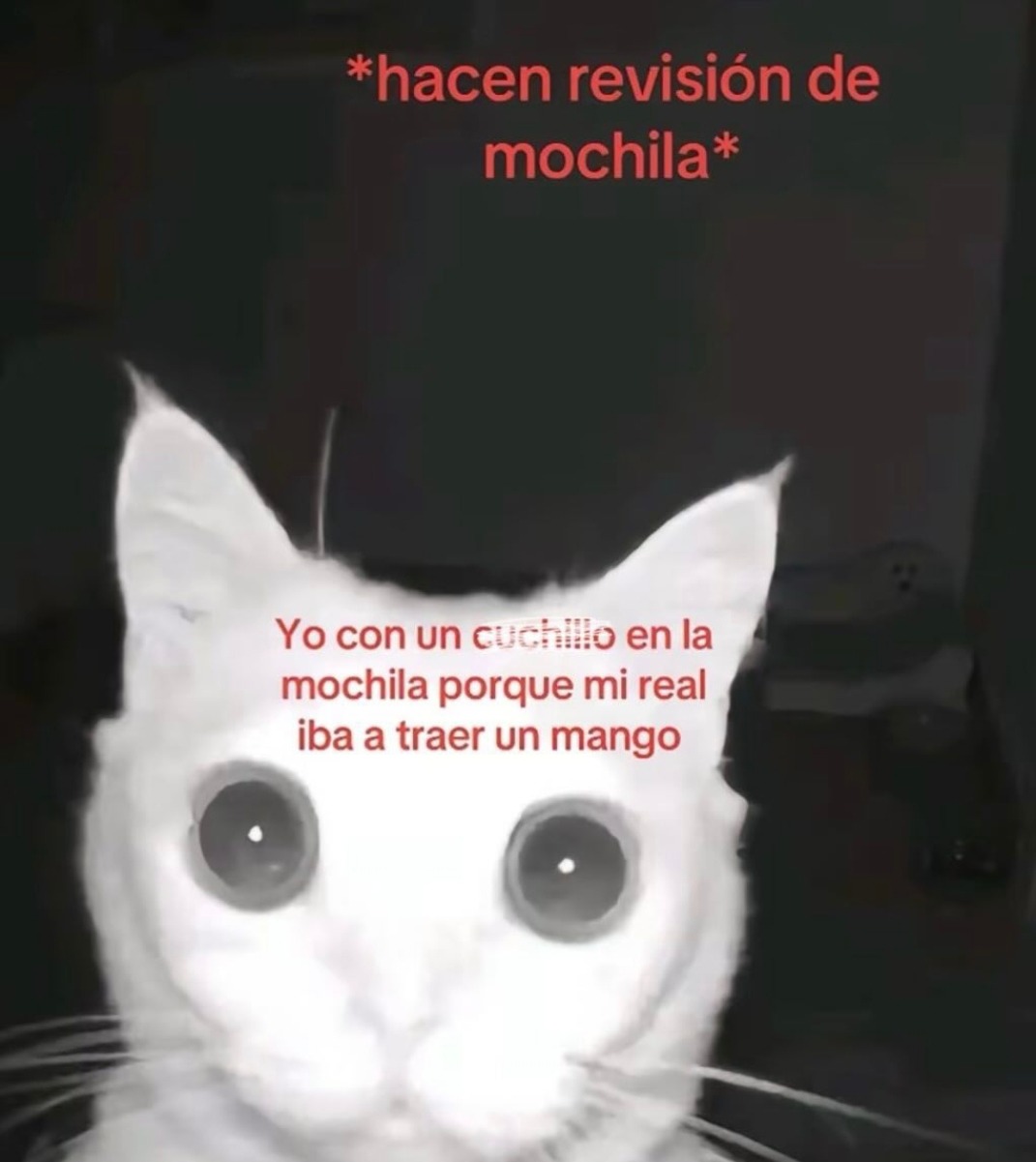 traía cuchillo porque iba a pelar un mango, lo juro - meme