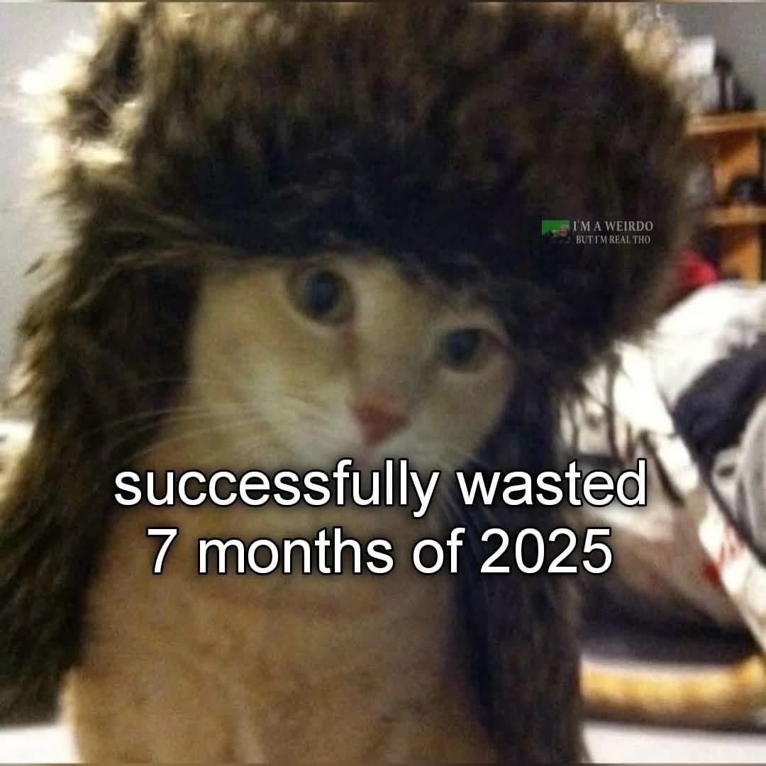 2025 wasted confirmed - meme
