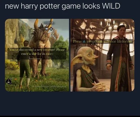 Harry Potter gamer meme