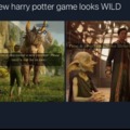 Harry Potter gamer meme