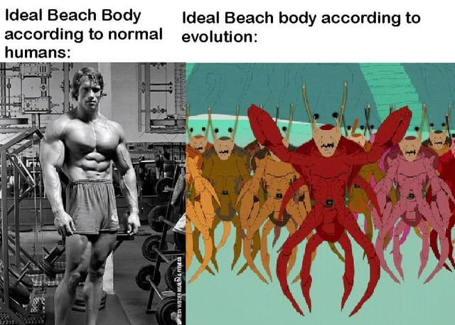 Ideal beach body - meme