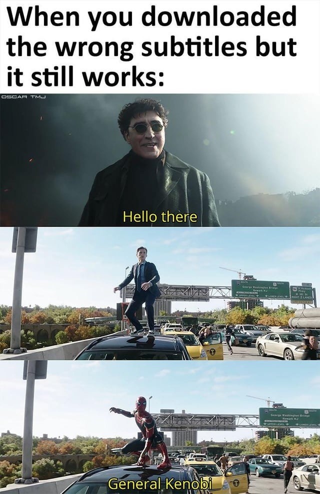 Wrong subtitles but somehow it still works - meme