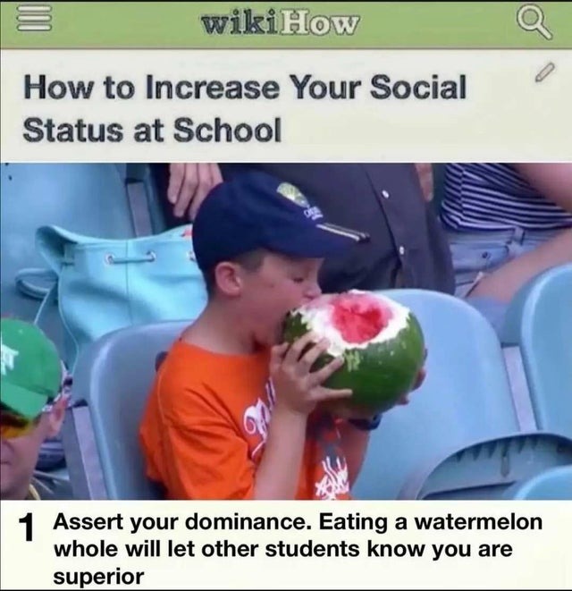 How to increase your social status at school - meme